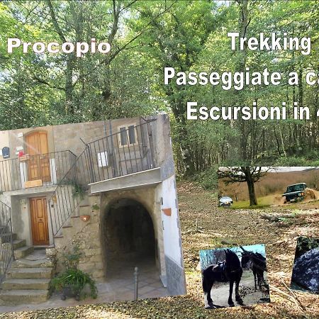 Affitta Camere San Procopio Troina Luaran gambar